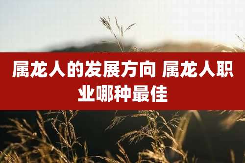 属龙人的发展方向 属龙人职业哪种最佳