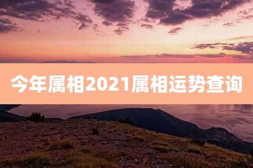 今年属相2021属相运势查询
