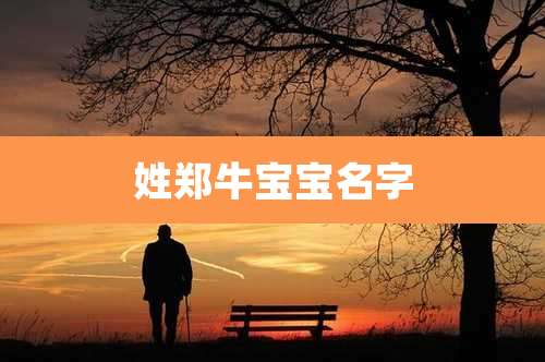 姓郑牛宝宝名字