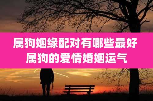 属狗姻缘配对有哪些最好 属狗的爱情婚姻运气