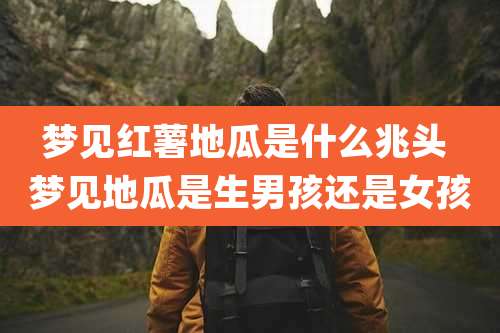 梦见红薯地瓜是什么兆头 梦见地瓜是生男孩还是女孩