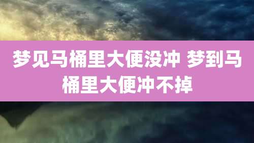 梦见马桶里大便没冲 梦到马桶里大便冲不掉