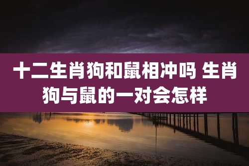十二生肖狗和鼠相冲吗 生肖狗与鼠的一对会怎样