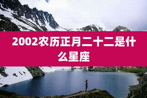 2002农历正月二十二是什么星座