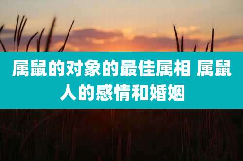 属鼠的对象的最佳属相 属鼠人的感情和婚姻
