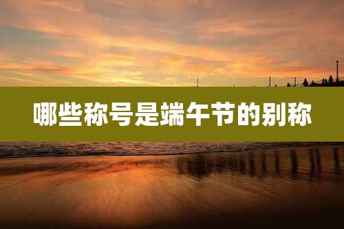 哪些称号是端午节的别称