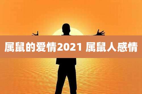 属鼠的爱情2021 属鼠人感情
