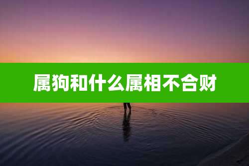 属狗和什么属相不合财