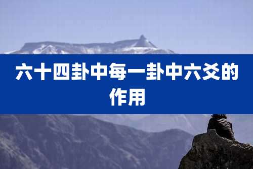 六十四卦中每一卦中六爻的作用