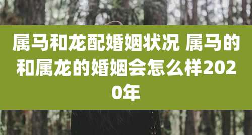 属马和龙配婚姻状况 属马的和属龙的婚姻会怎么样2020年
