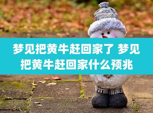 梦见把黄牛赶回家了 梦见把黄牛赶回家什么预兆