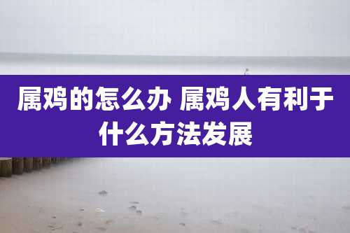 属鸡的怎么办 属鸡人有利于什么方法发展