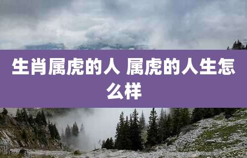 生肖属虎的人 属虎的人生怎么样