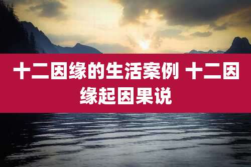 十二因缘的生活案例 十二因缘起因果说
