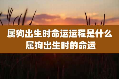 属狗出生时命运运程是什么 属狗出生时的命运