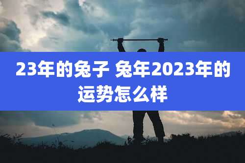 23年的兔子 兔年2023年的运势怎么样