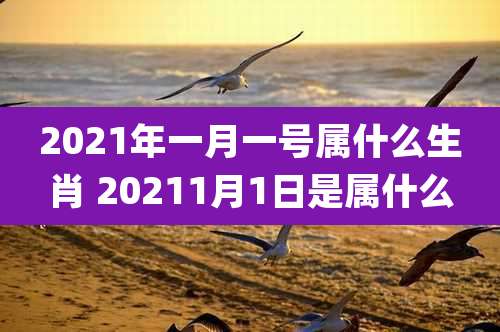 2021年一月一号属什么生肖 20211月1日是属什么