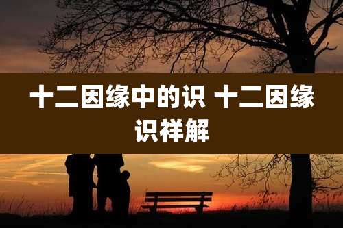 十二因缘中的识 十二因缘识祥解