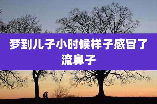 梦到儿子小时候样子感冒了流鼻子