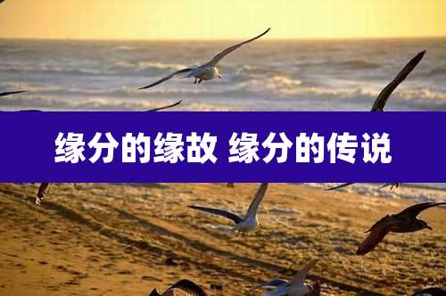 缘分的缘故 缘分的传说