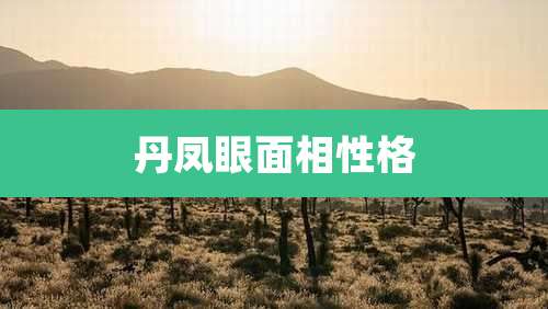 丹凤眼面相性格