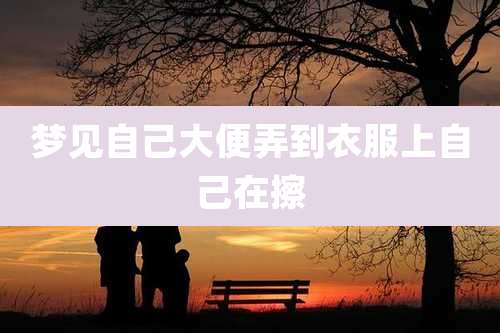 梦见自己大便弄到衣服上自己在擦