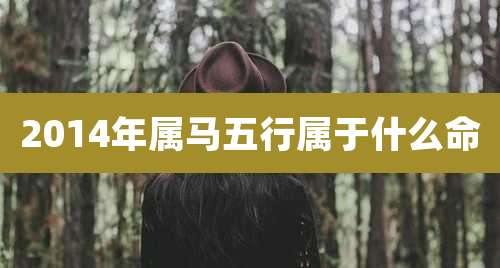 2014年属马五行属于什么命