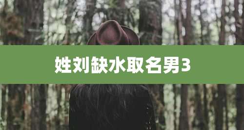 姓刘缺水取名男3