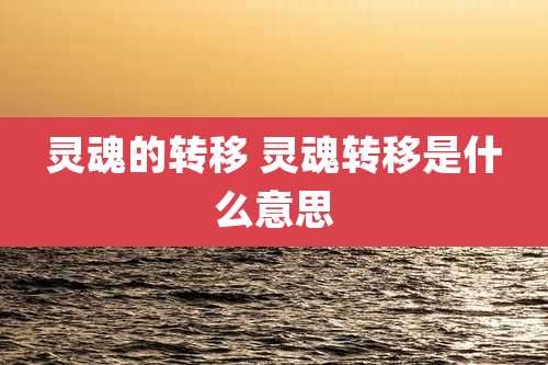 灵魂的转移 灵魂转移是什么意思