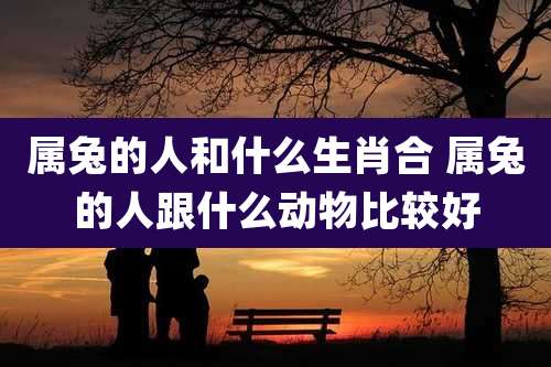 属兔的人和什么生肖合 属兔的人跟什么动物比较好