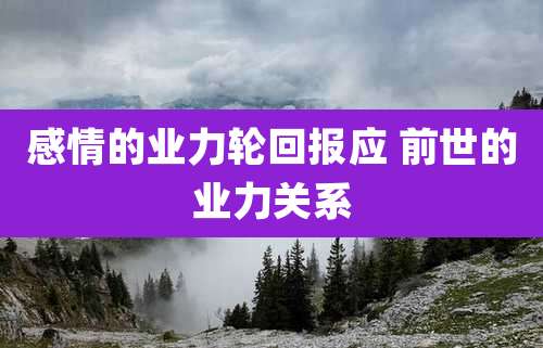 感情的业力轮回报应 前世的业力关系