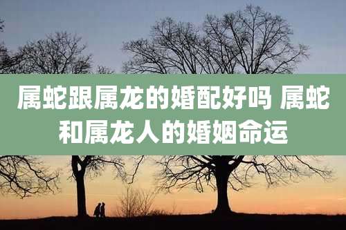 属蛇跟属龙的婚配好吗 属蛇和属龙人的婚姻命运