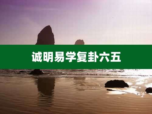 诚明易学复卦六五