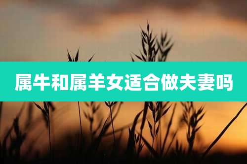属牛和属羊女适合做夫妻吗