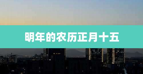 明年的农历正月十五