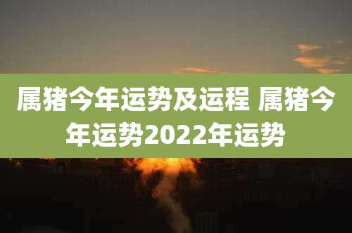 属猪今年运势及运程 属猪今年运势2022年运势