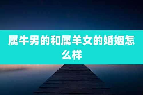 属牛男的和属羊女的婚姻怎么样