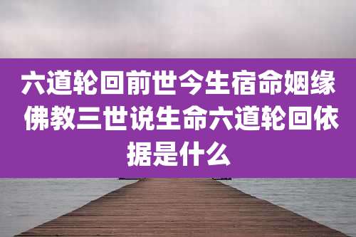 六道轮回前世今生宿命姻缘 佛教三世说生命六道轮回依据是什么