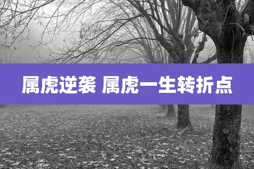 属虎逆袭 属虎一生转折点