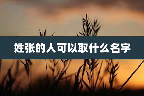 姓张的人可以取什么名字