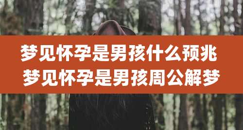 梦见怀孕是男孩什么预兆 梦见怀孕是男孩周公解梦
