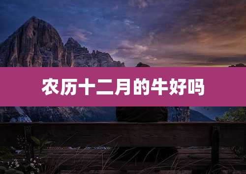 农历十二月的牛好吗