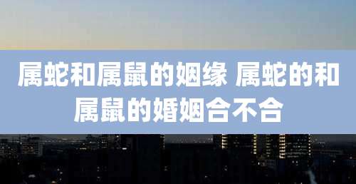 属蛇和属鼠的姻缘 属蛇的和属鼠的婚姻合不合