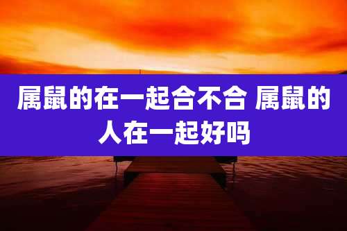 属鼠的在一起合不合 属鼠的人在一起好吗