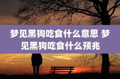 梦见黑狗吃食什么意思 梦见黑狗吃食什么预兆