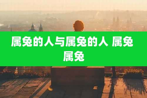 属兔的人与属兔的人 属兔 属兔