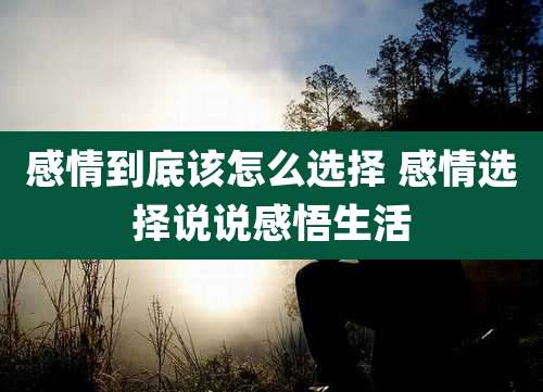 感情到底该怎么选择 感情选择说说感悟生活