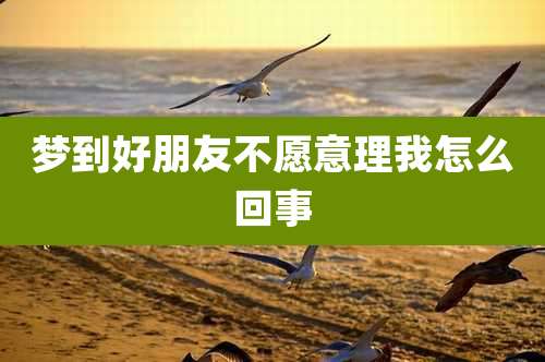 梦到好朋友不愿意理我怎么回事