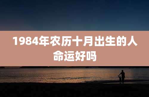 1984年农历十月出生的人命运好吗