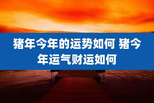 猪年今年的运势如何 猪今年运气财运如何